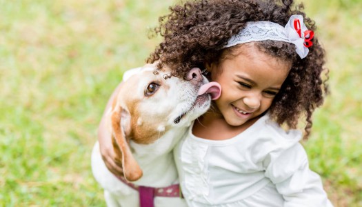 Perché i vermi del cane e del gatto rappresentano un rischio anche per voi