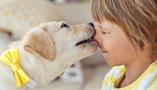 Cani e bambini: arriva un bimbo in famiglia… e il cane?