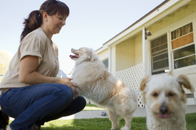 5-consigli-per-lasciare-il-cane-in-una-pensione-per-cani (1)